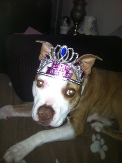 Lacie 1 year old