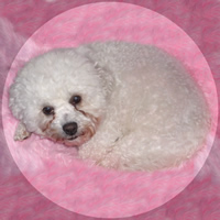 photo of Sophia