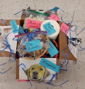 box at petco