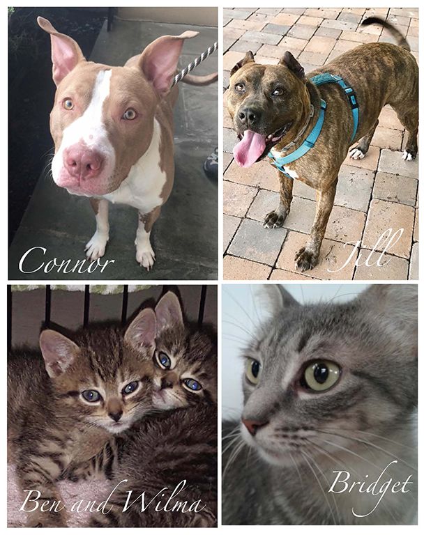 Adoption Event